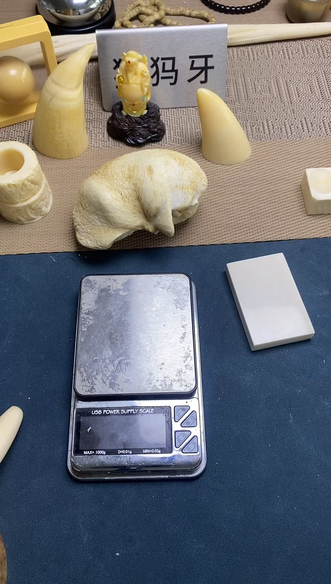 贝壳吊坠清*芬达老型