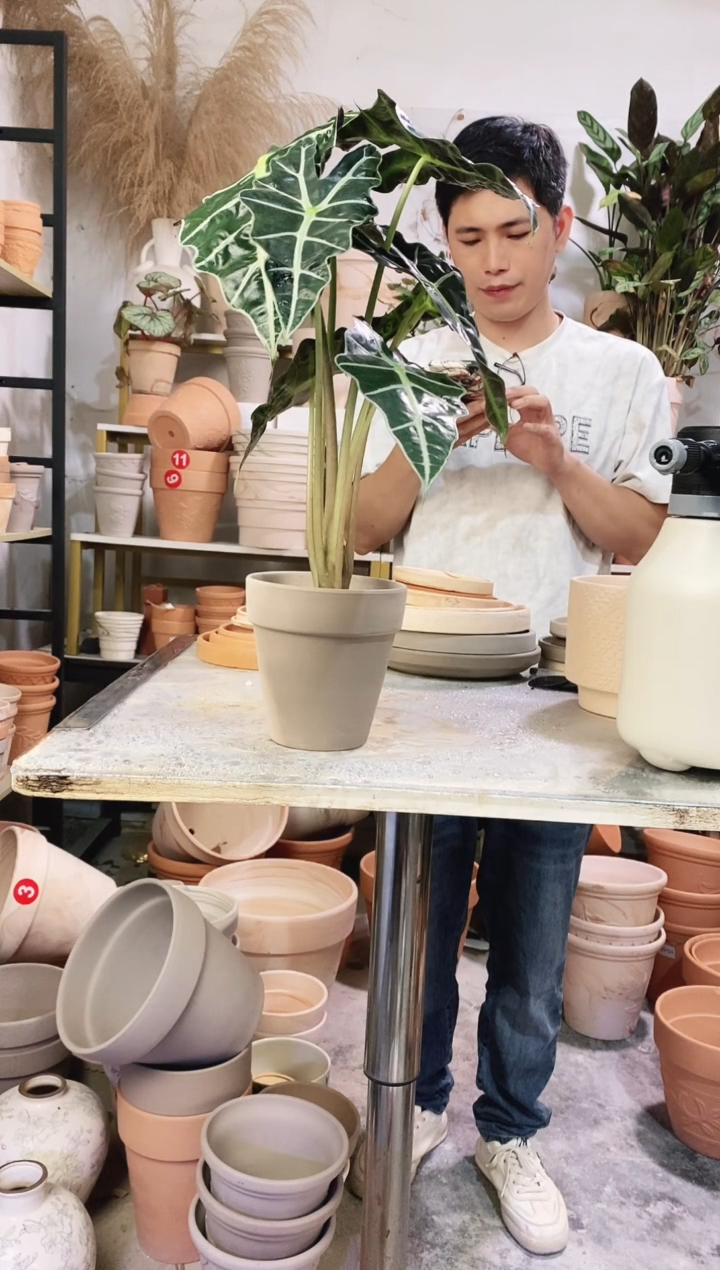 13*13灰陶 3盆无托