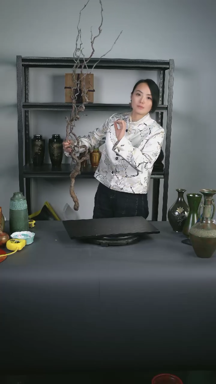 【闪购商品】木龙枣枝 1.3米
