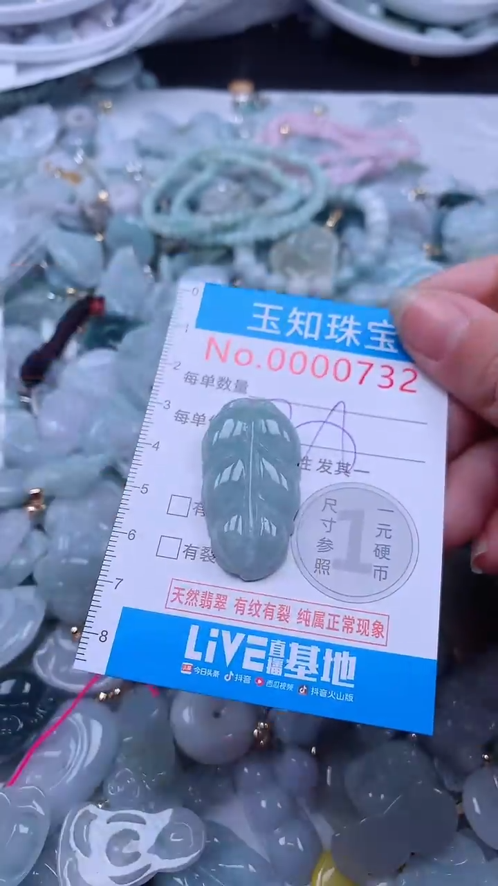 翡翠未镶嵌吊坠(不含链)732