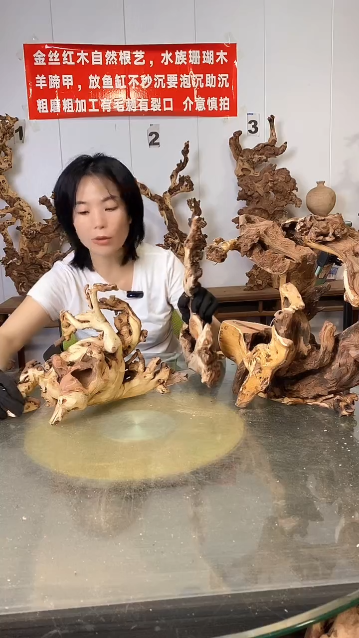 香榧木金丝红木 羊蹄甲