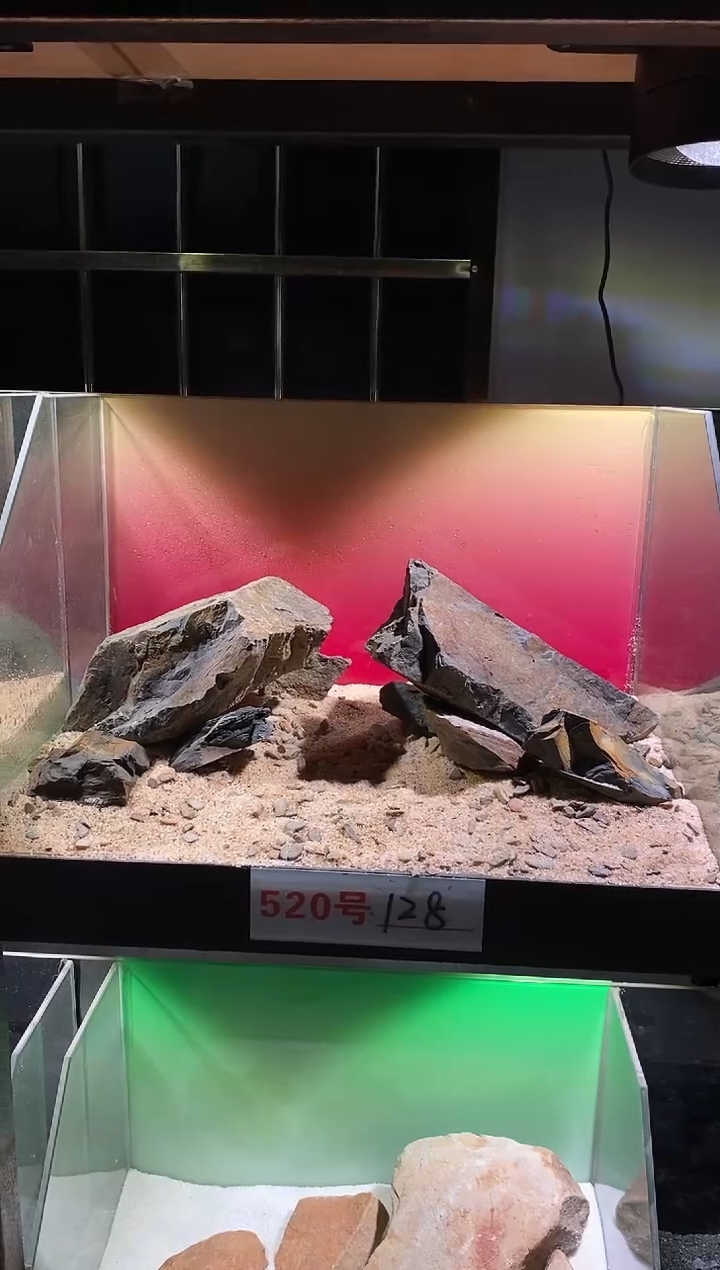 520号鱼缸造景（不含底砂）