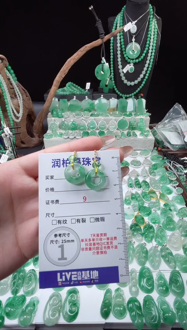 吊坠(赠链)未镶嵌石英质玉（非洲翠）5.608耳钩