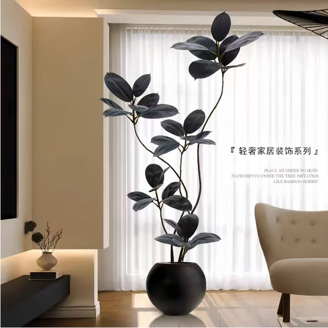 黑金刚橡皮树客厅阳台造型真花好养植物室内大型高级感绿植盆栽