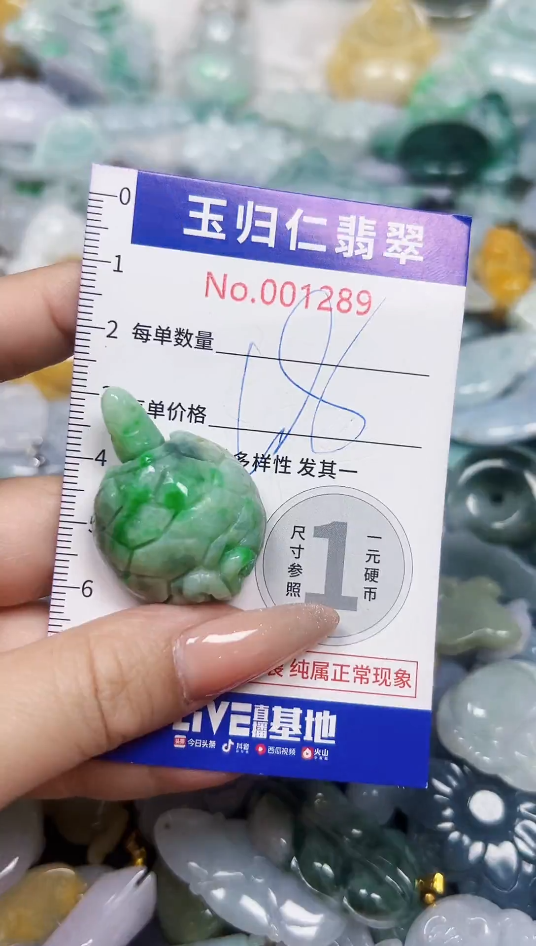 颈饰未镶嵌翡翠132