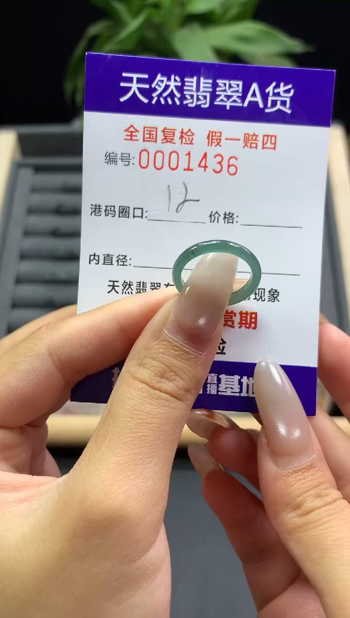 未镶嵌戒指翡翠天然  1436