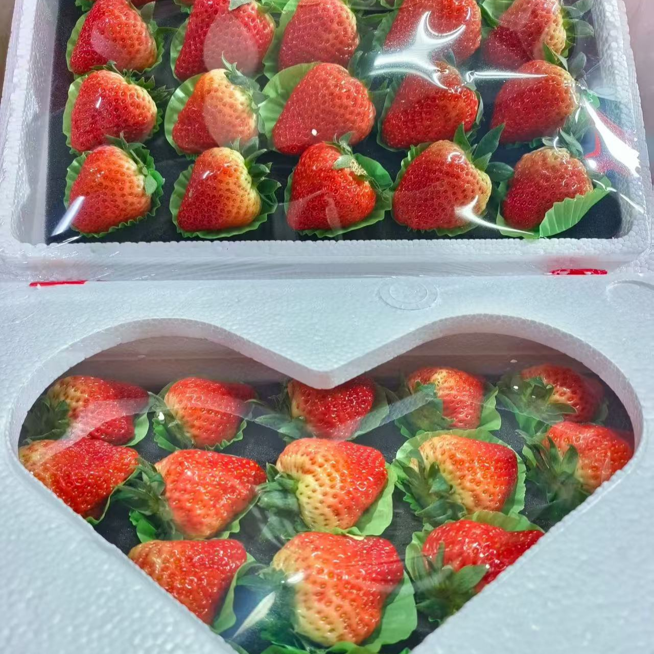 【丹东99草莓】桃心礼盒装   