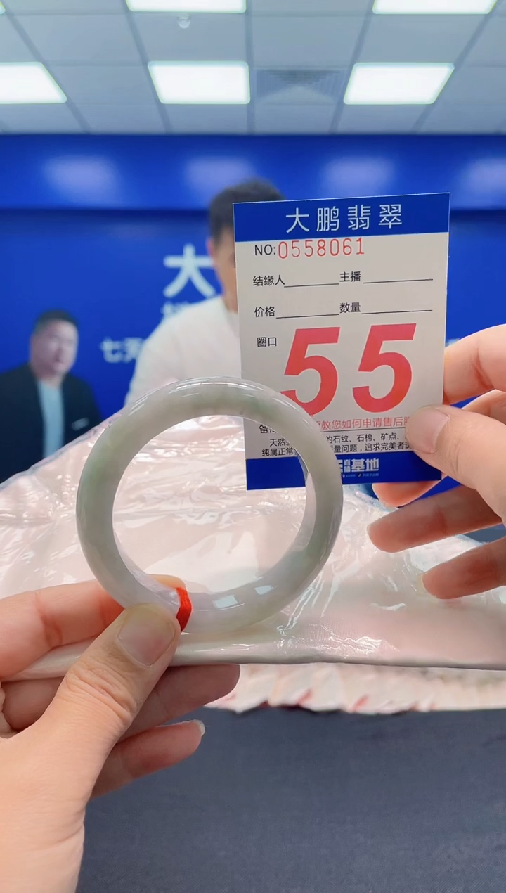 未镶嵌手镯翡翠AAAAAAAAA
