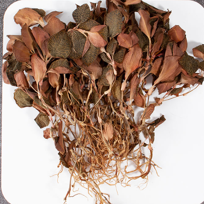 【袁大娃推荐】金线莲  山货