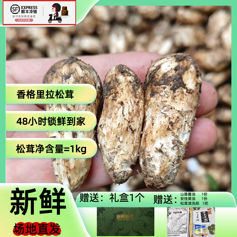 【香格里拉松茸 礼盒装】云南新鲜松茸 精选 顺丰冷链包邮