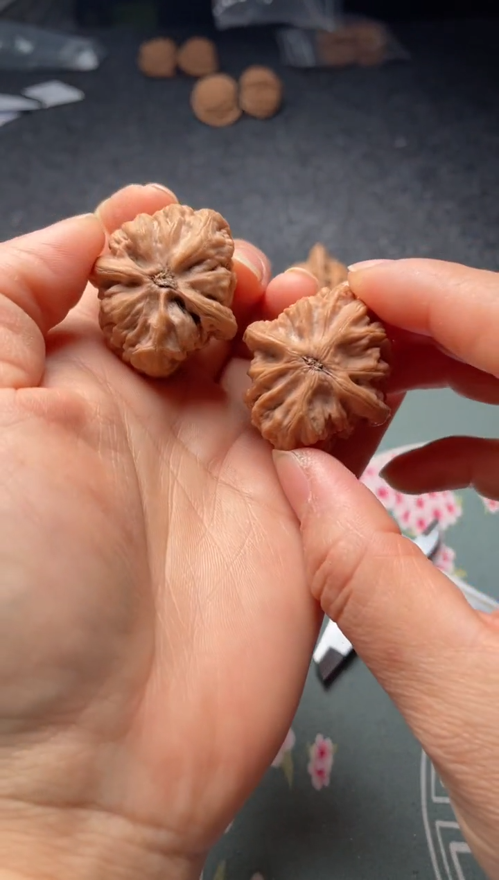 把件文玩核桃w367  九龙 32尺