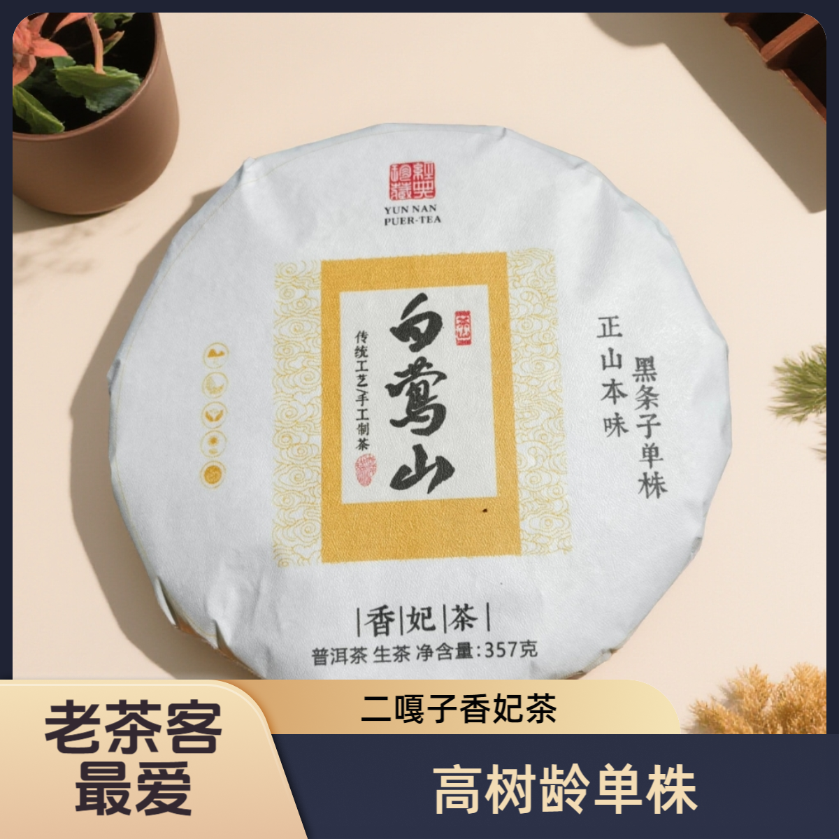 【2021年白莺山400年古树单株】普洱茶生茶临沧茶区白莺山古树单株