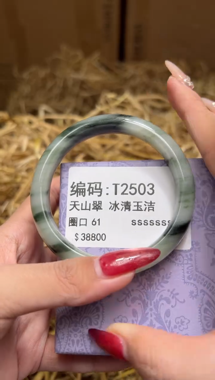 未镶嵌手镯石英质玉T2503