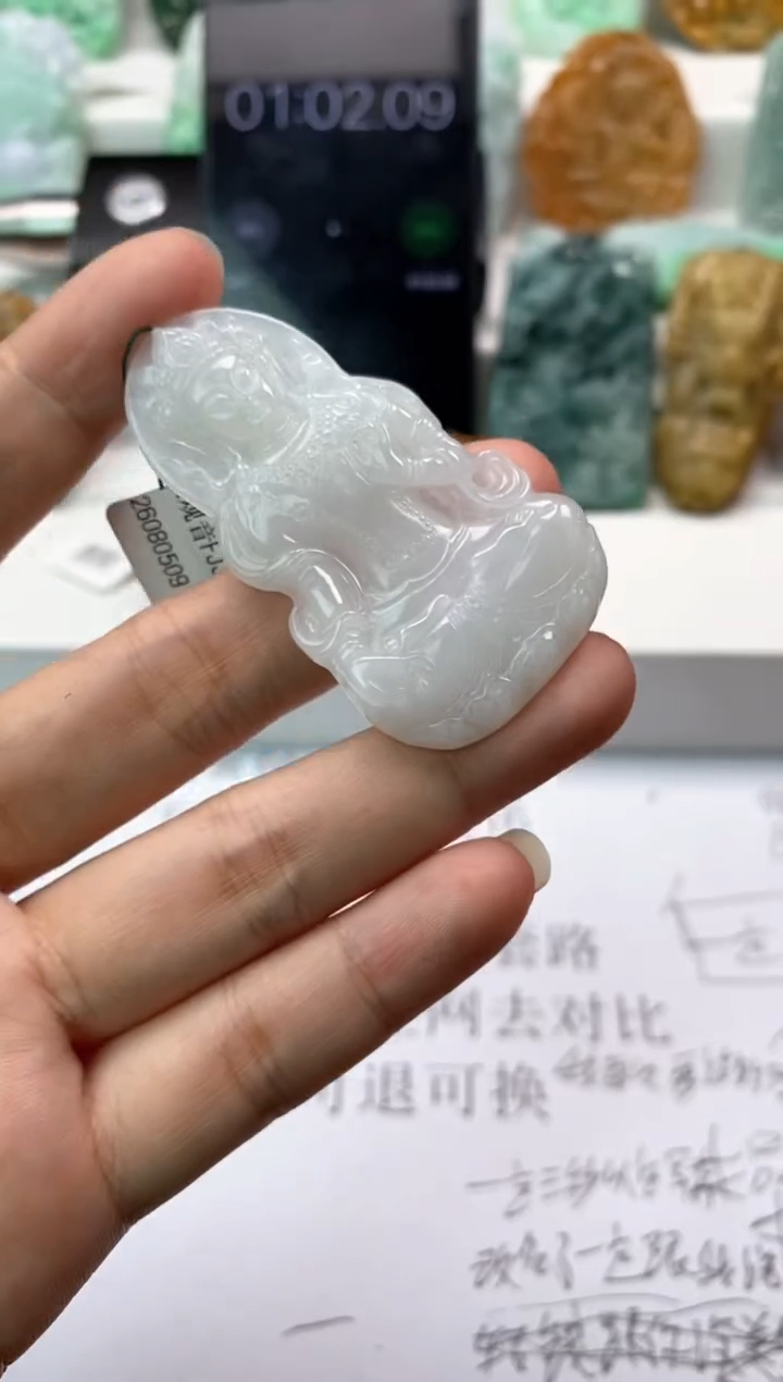 【闪购商品】翡翠颈饰未镶嵌天然翡翠