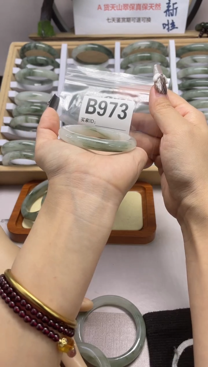 【闪购商品】石英质玉（天山翠）手镯未镶嵌b973