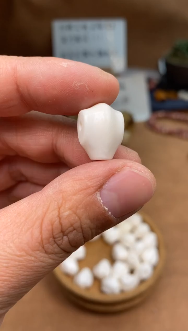 【闪购商品】牛骨其他P719-鲨鱼背三通-有棕裂