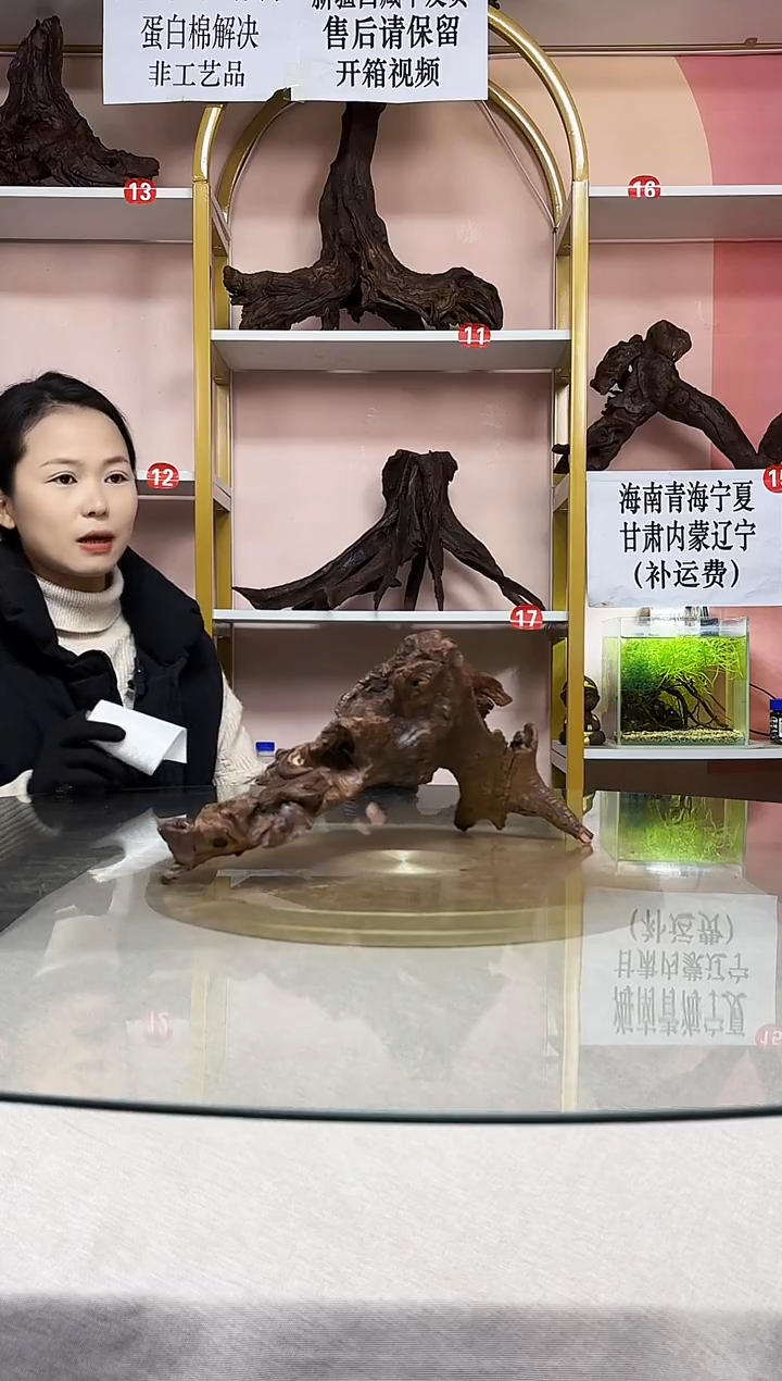 开**儿紫柚木一物一拍A741