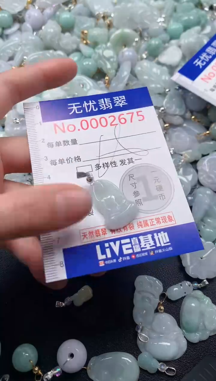 颈饰未镶嵌翡翠2675