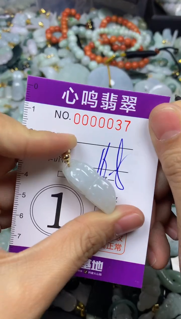 【闪购商品】翡翠颈饰未镶嵌闪购00037