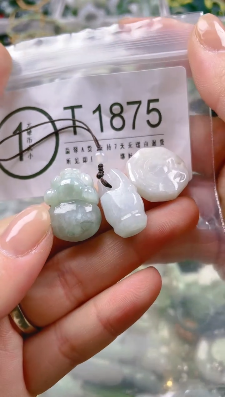 【闪购商品】翡翠颈饰未镶嵌/T/翡翠A货一图一物