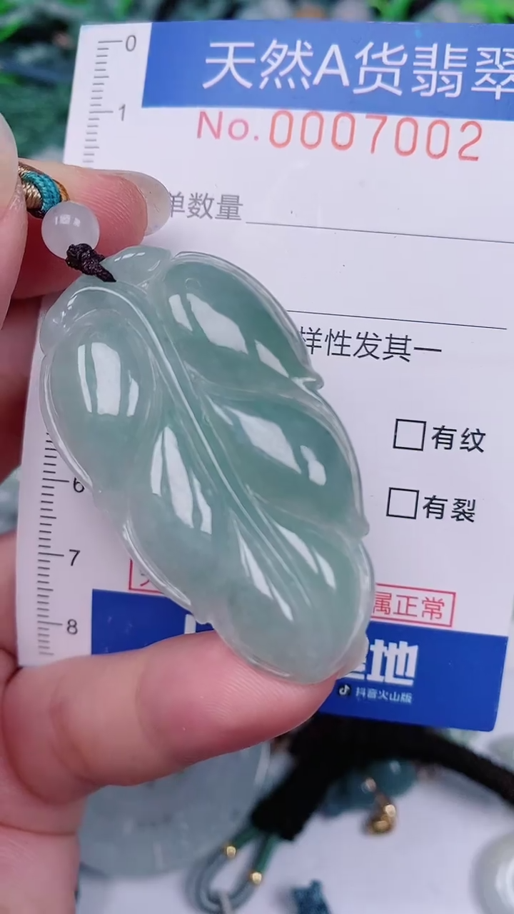 【闪购商品】翡翠未镶嵌颈饰00007002