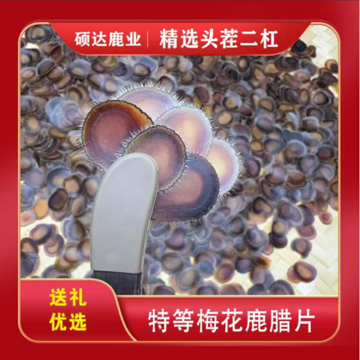 梅花鹿 精品头茬二杠茸特等腊片