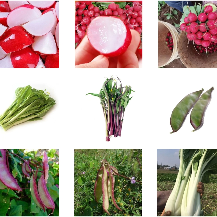 荆满春农家生鲜干货现摘现发