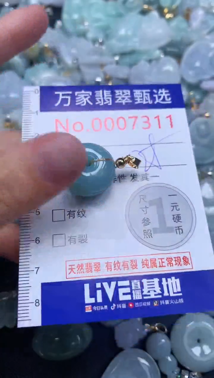 吊坠(不含链)未镶嵌翡翠7311