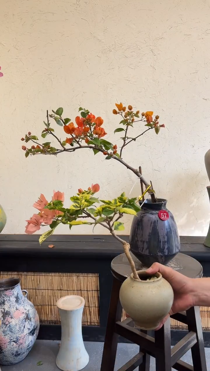 完全开放l****团阿达纳金边台湾姑娘