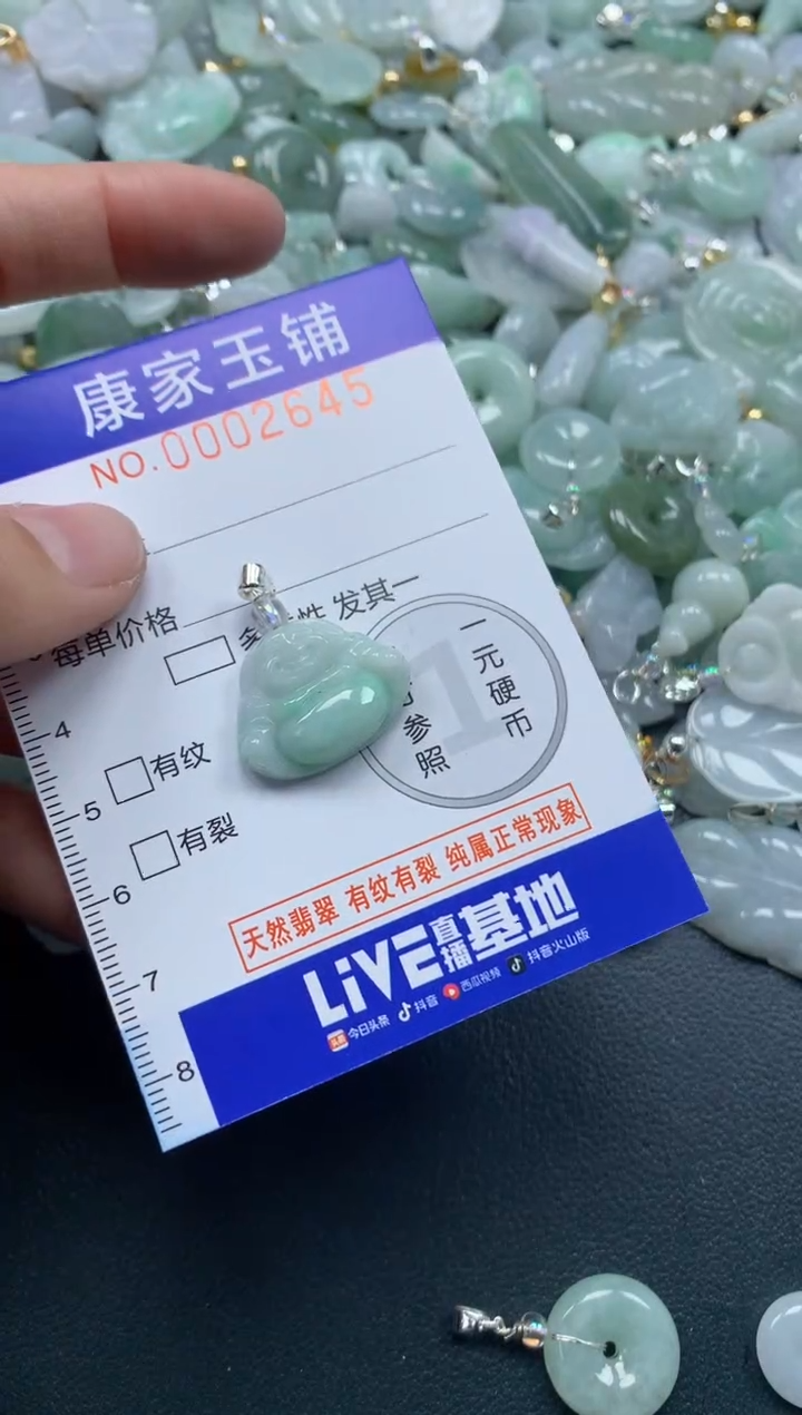 颈饰未镶嵌翡翠2645