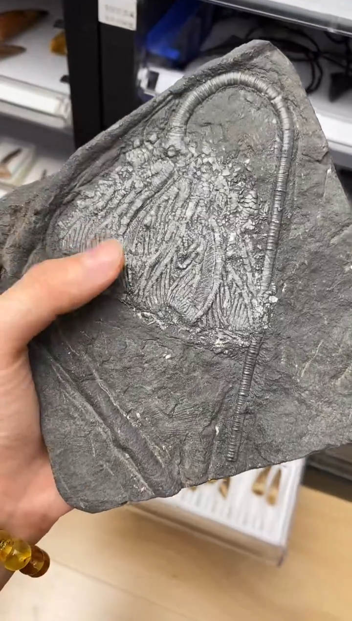 精美摆件创意礼物家居配饰新年礼物个人收藏