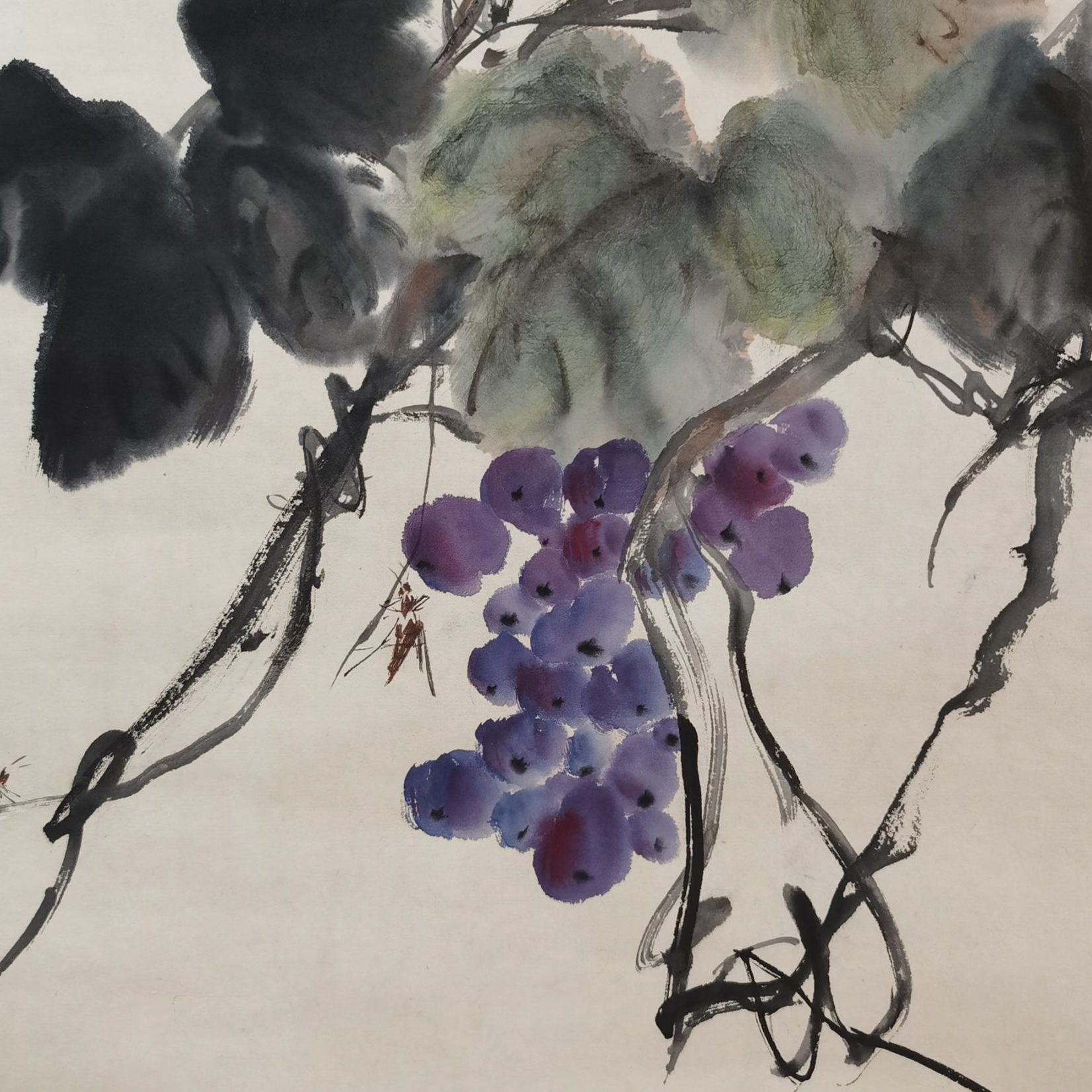 【辽拍】V250709-2-150《葡萄》（1平尺) 纸本镜片  ws04