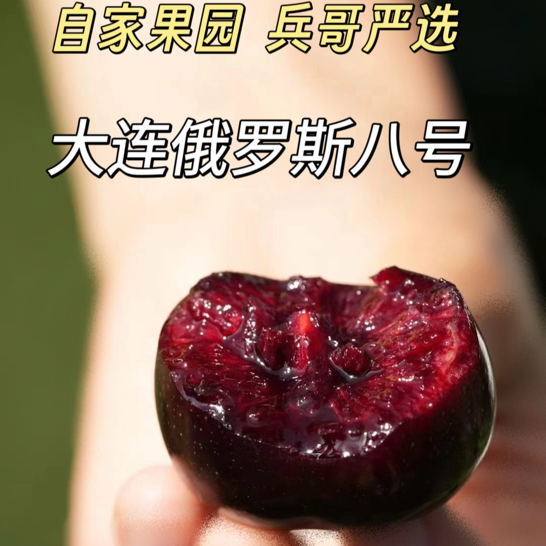 大连俄罗斯八号大樱桃顺丰空运4-6J净重1.8斤一箱 内附果径卡