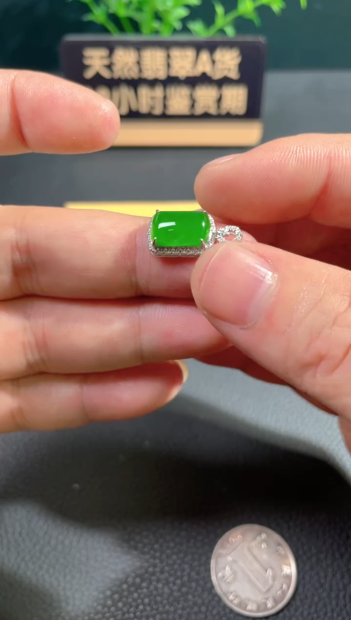 【闪购商品】翡翠颈饰18K金镶嵌翡翠