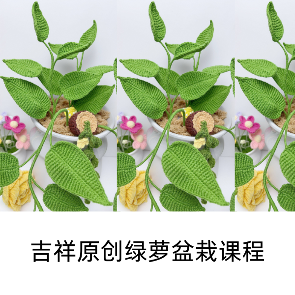 吉祥原创绿萝盆栽课程(分销）