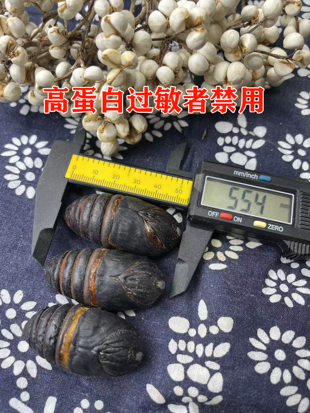 蚕蛹东北特产丹东超级大黑蚕蛹鲜活一斤35个左右柞蛹顺丰包邮