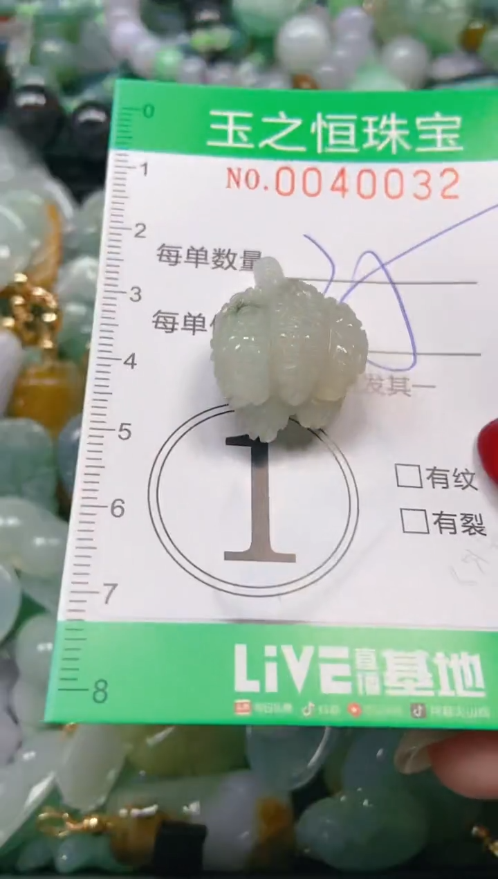 【闪购商品】翡翠颈饰未镶嵌闪购0040032