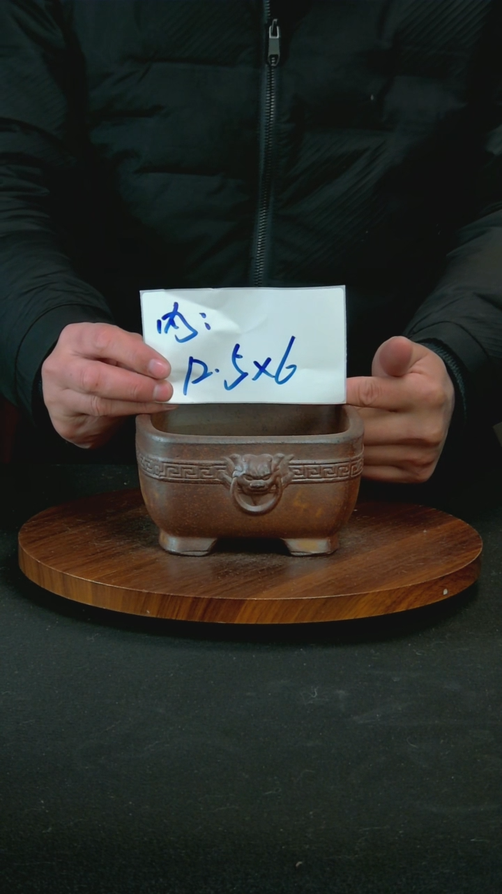 【闪购商品】紫砂G24