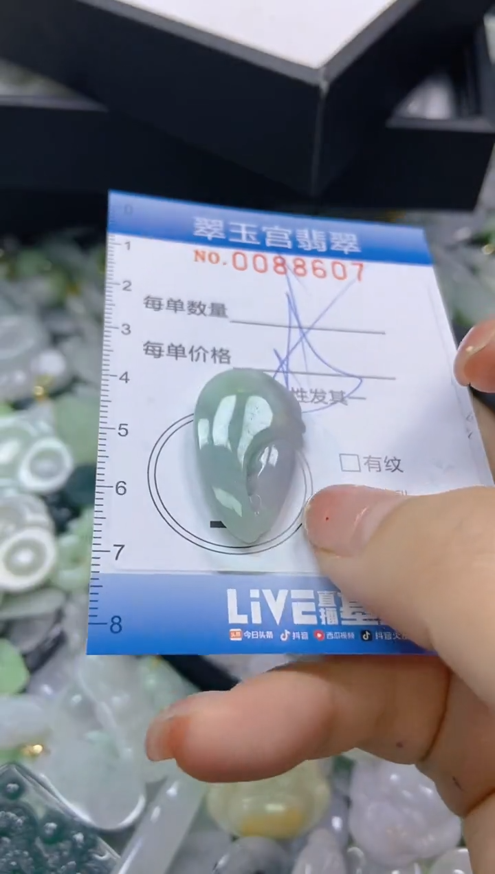 【闪购商品】翡翠颈饰未镶嵌闪购0088607