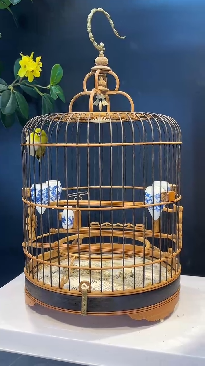 23号   绣眼养笼0元起拍