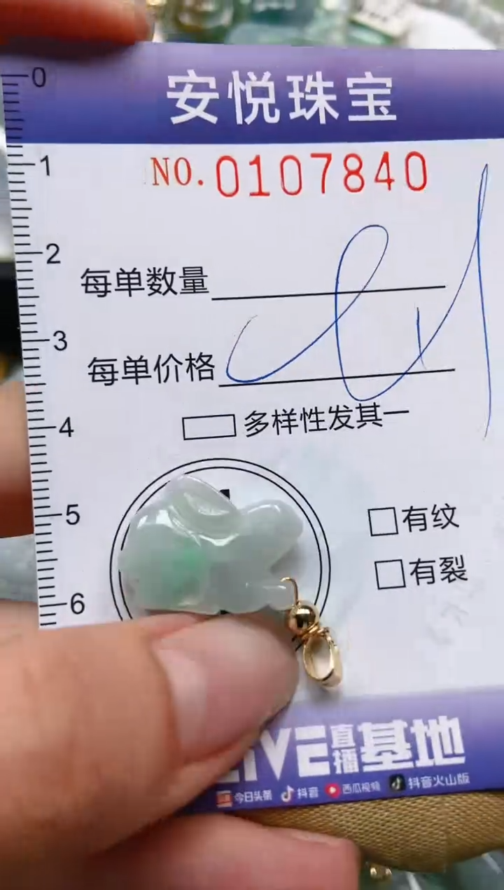 【闪购商品】翡翠颈饰未镶嵌闪购0107840