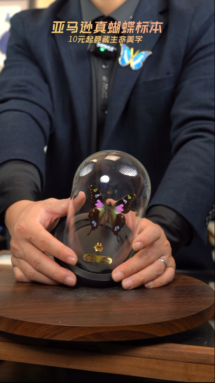 玫瑰青凤蝶小号玻璃罩