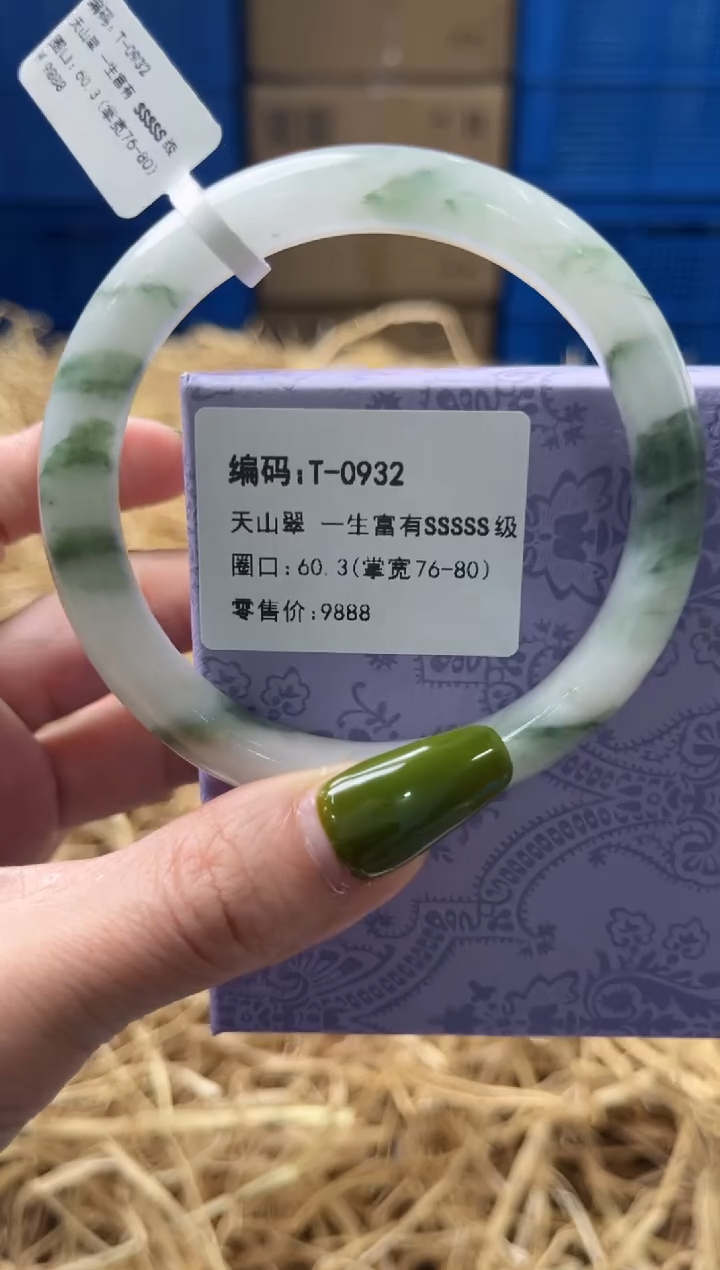 未镶嵌手镯石英质玉T0932
