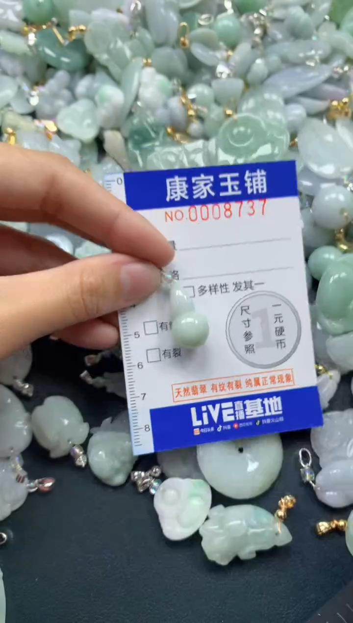 颈饰未镶嵌翡翠8737