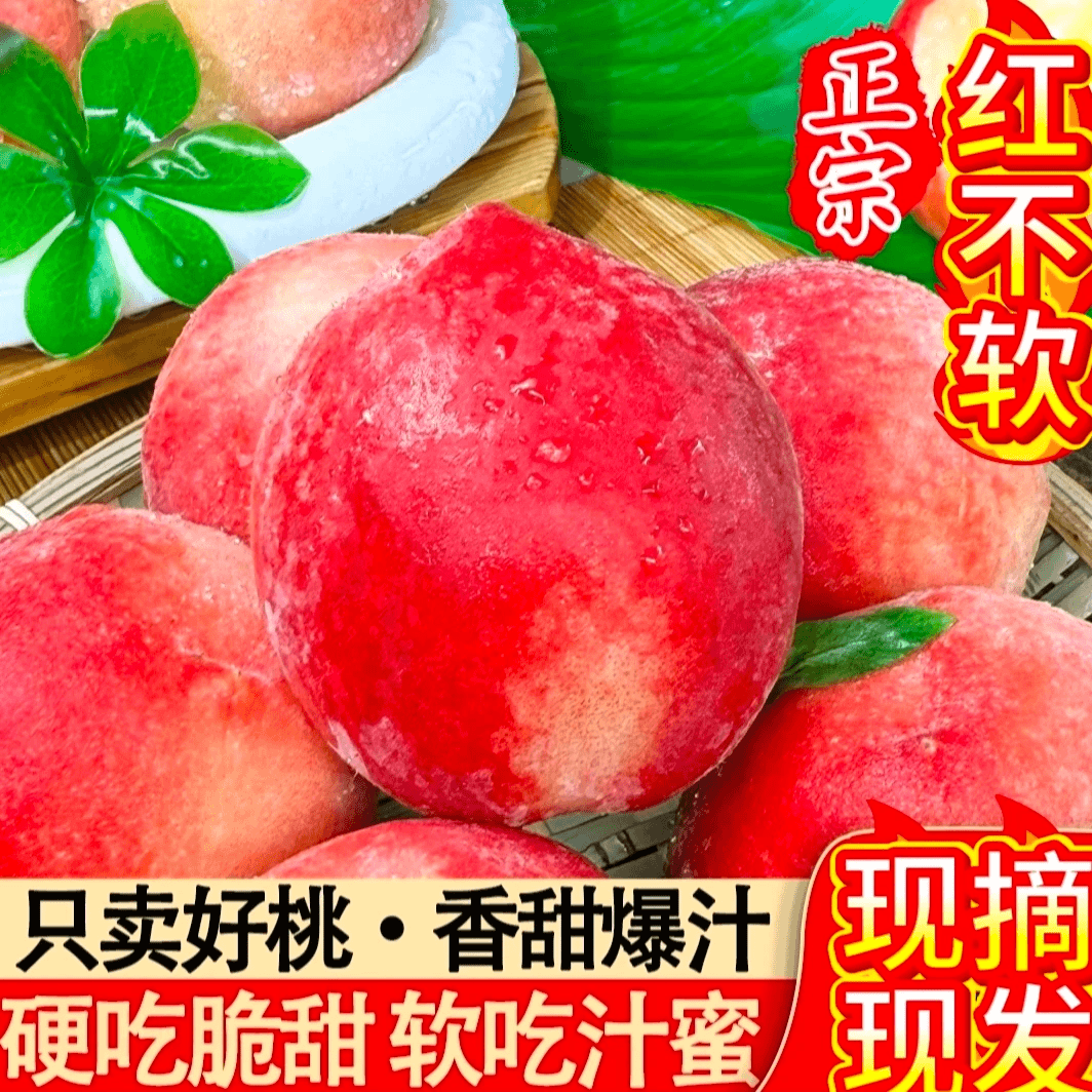【现摘现发】红不软脆桃甜桃产地直发应季水果树上自然熟坏果包赔