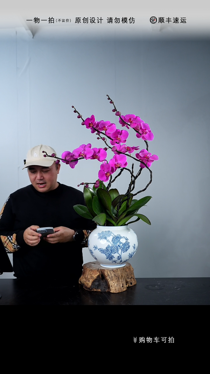 【闪购商品】071号链接【一物一拍】艺术盆景