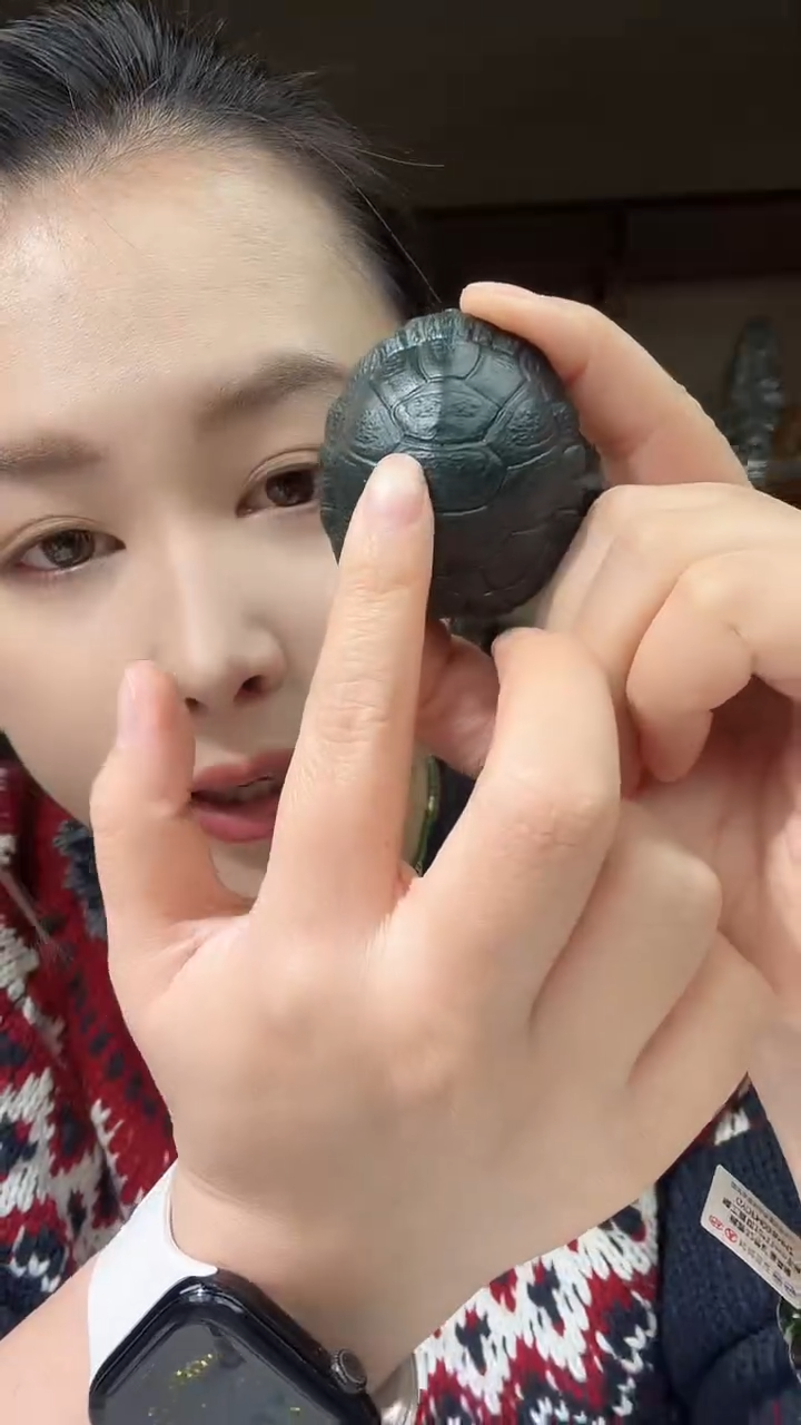 未镶嵌和田玉把件新疆黑青天机在握龟甲手把GYBM00EFNHZ