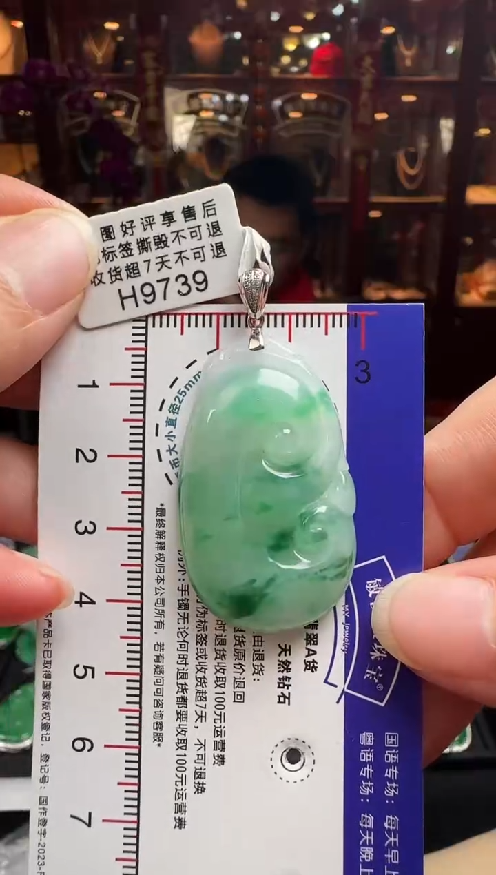 【闪购商品】翡翠颈饰18K金镶嵌H9739如意