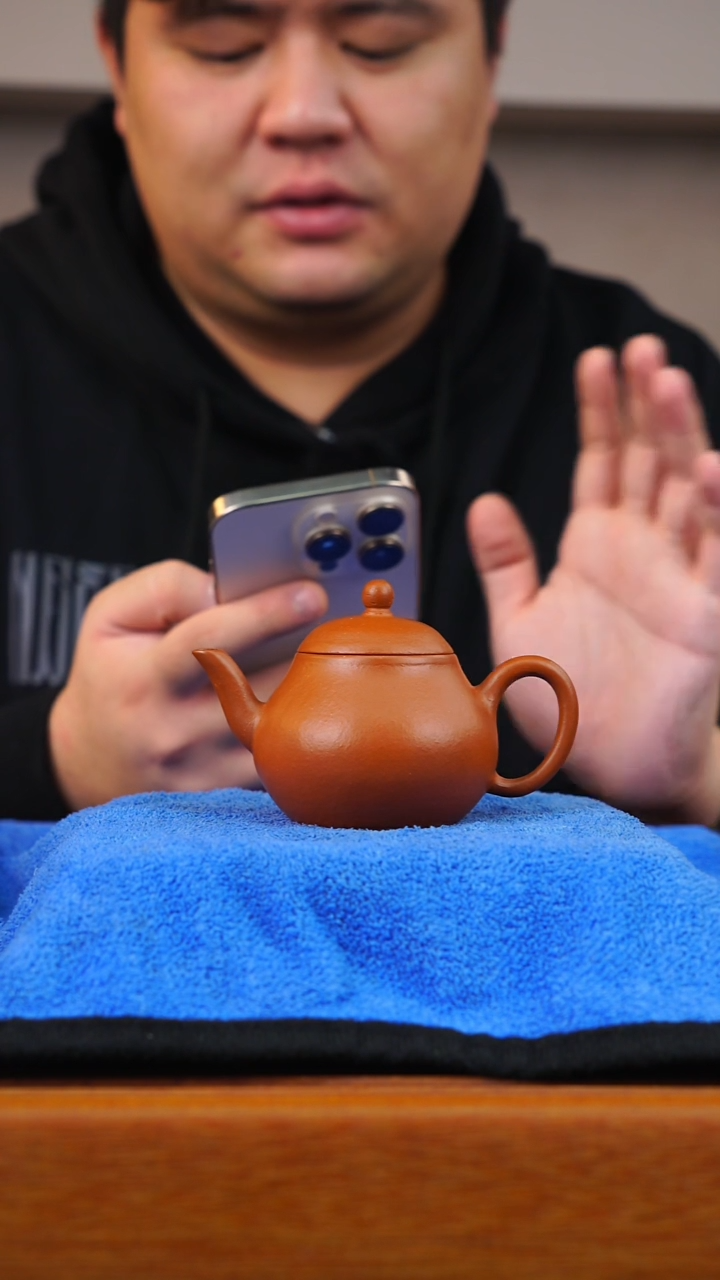 茶壶紫砂朱泥罐子壶