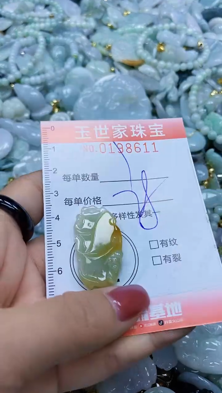 【闪购商品】翡翠颈饰未镶嵌闪购0198611